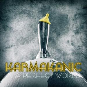 karmakanic inaperfectworld