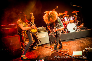 wolfmother39