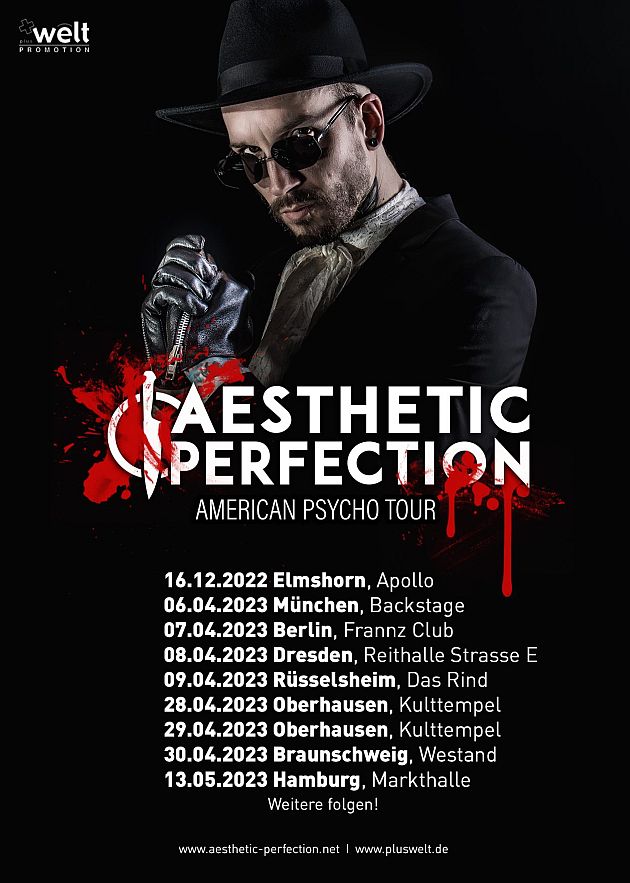 aestheticperfection tour2023
