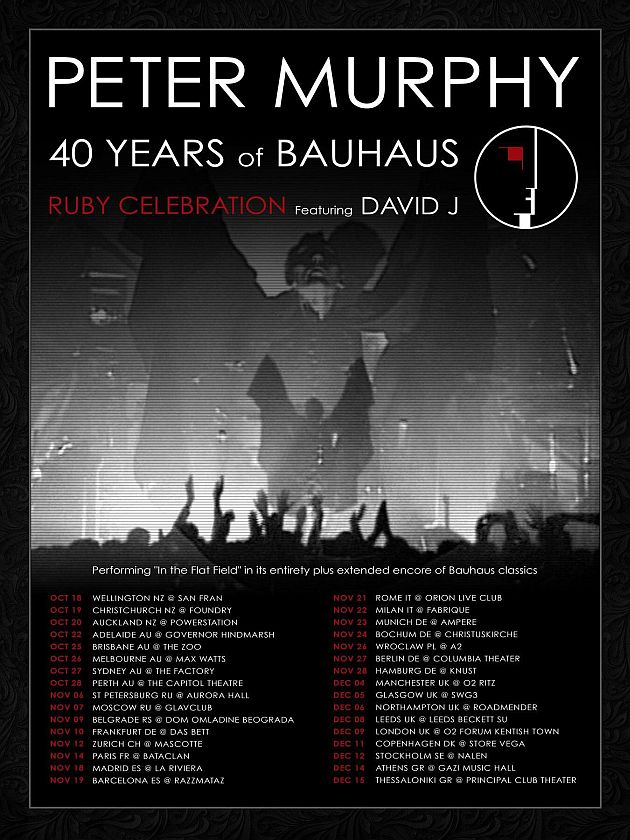 40 years of Bauhaus