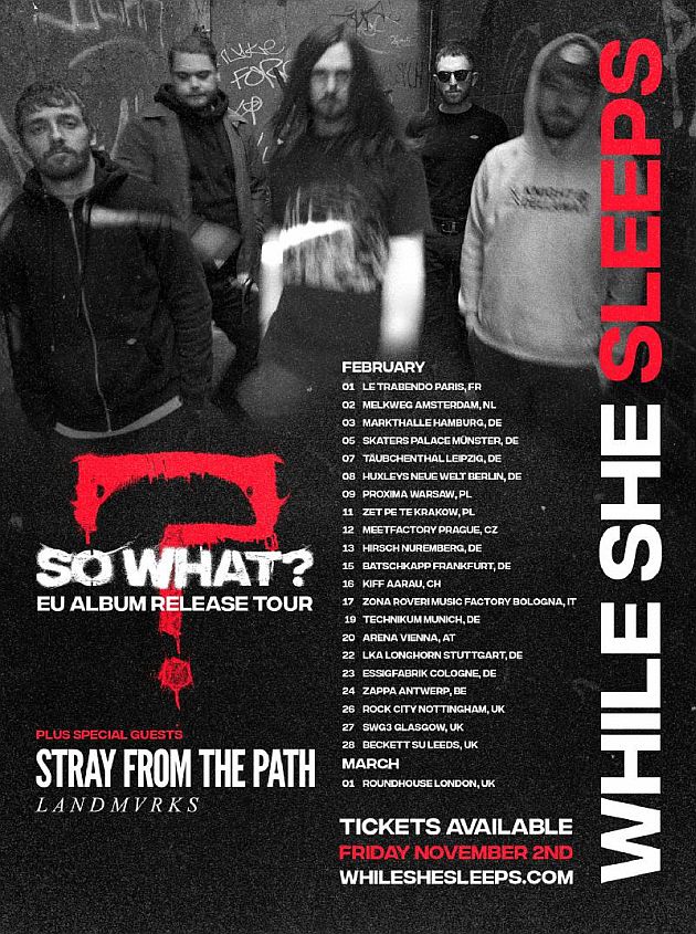whileshesleeps tour2019