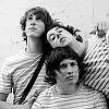 wombats