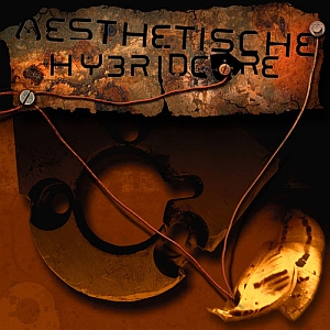 aesthetische hybridcore