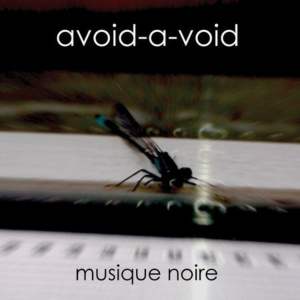 avoidavoid musiquenoire