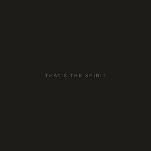 bringmethehorizon thatsthespirit