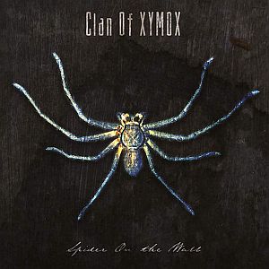 clanofxymox spideronthewall