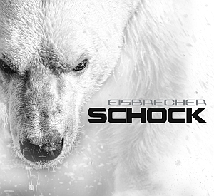 eisbrecher schock