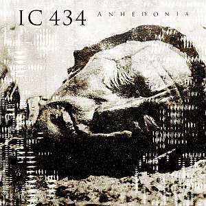 ic434 anhedonia