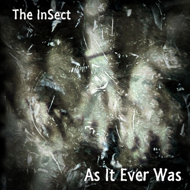 the insect asiteverwas