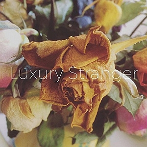 luxurystranger whentheladytakestheblame