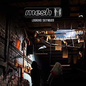 mesh lookingskyward