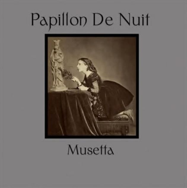 papillon de nuit musetta