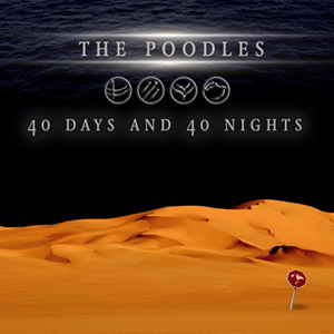 poodles 40days