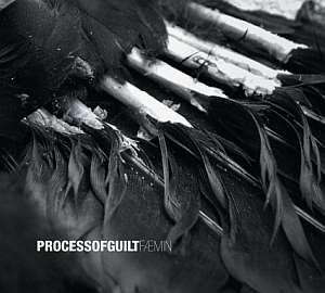 processofguilt faemin