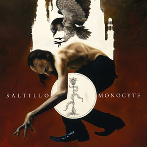 saltillo monocyte vinyl