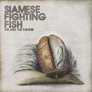 siamesefightingfish wearesound