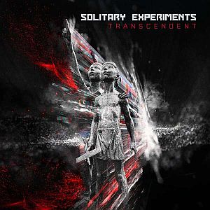 solitaryexperiments transcendent