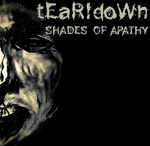 teardown shadesofapathy