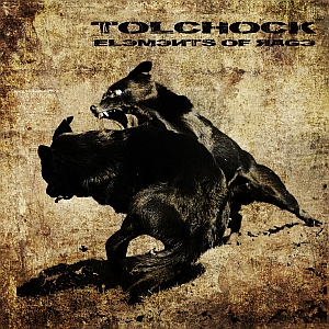 tolchock elementsofrage