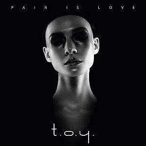 toy painislove