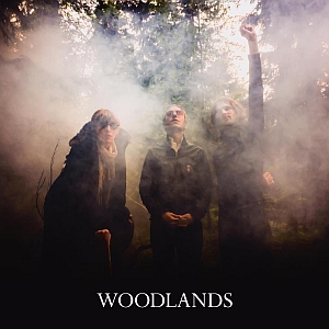 woodlands st