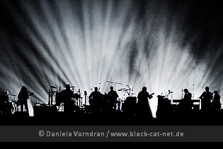 eagles3
