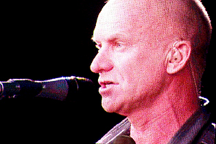 sting2