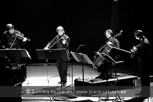toriamos2