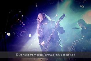 evergrey3