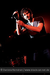 gotye5