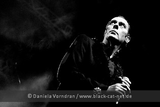 petermurphy4