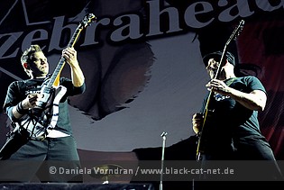 zebrahead4