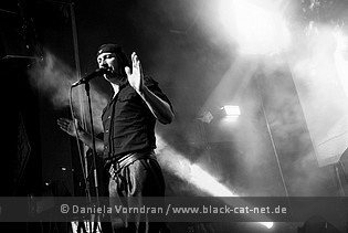 laibach13