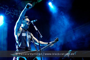 bfmv1