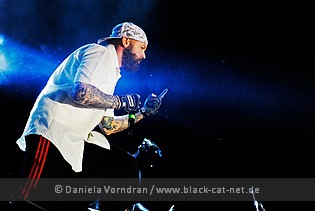 limpbizkit01