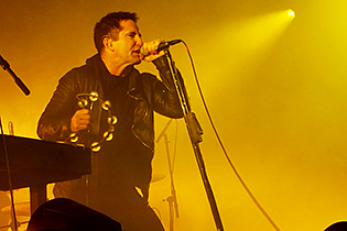 nin4