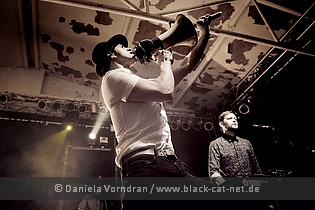 Maximo Park