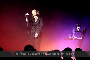 alisonmoyet2