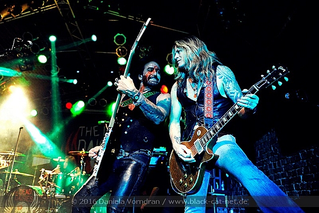deaddaisies4