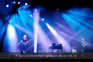 stevenwilson3