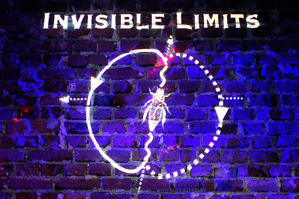 Invisible Limits