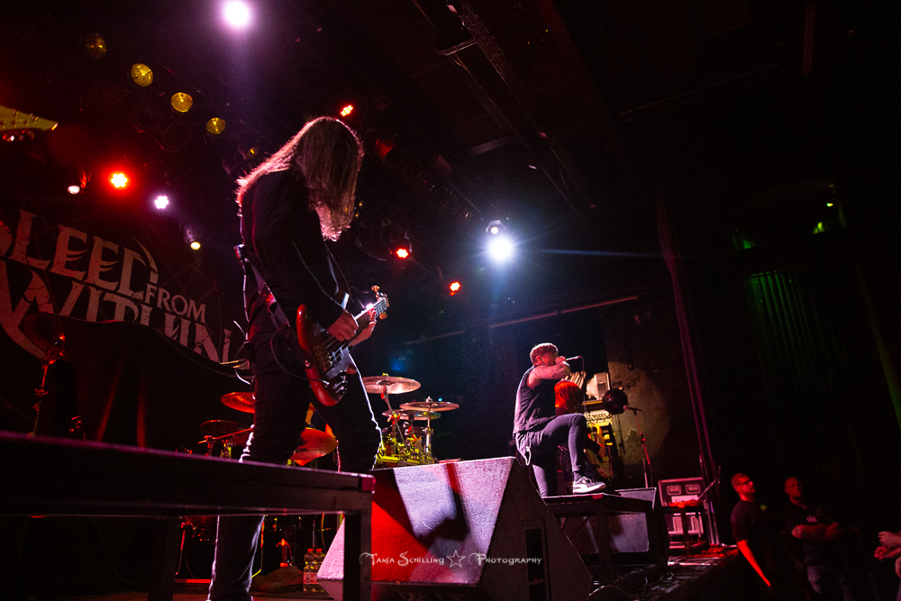 Bleed from Within 11