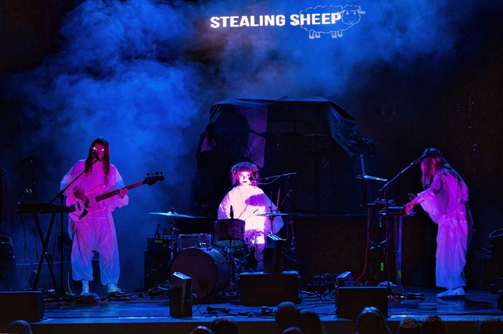 stealing sheep 17