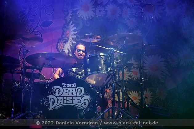 deaddaisies D4S3398 klein