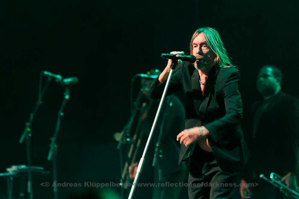 IggyPop Düsseldorf 2022 3 von 33
