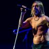 IggyPop_Düsseldorf_2022_14_von_33