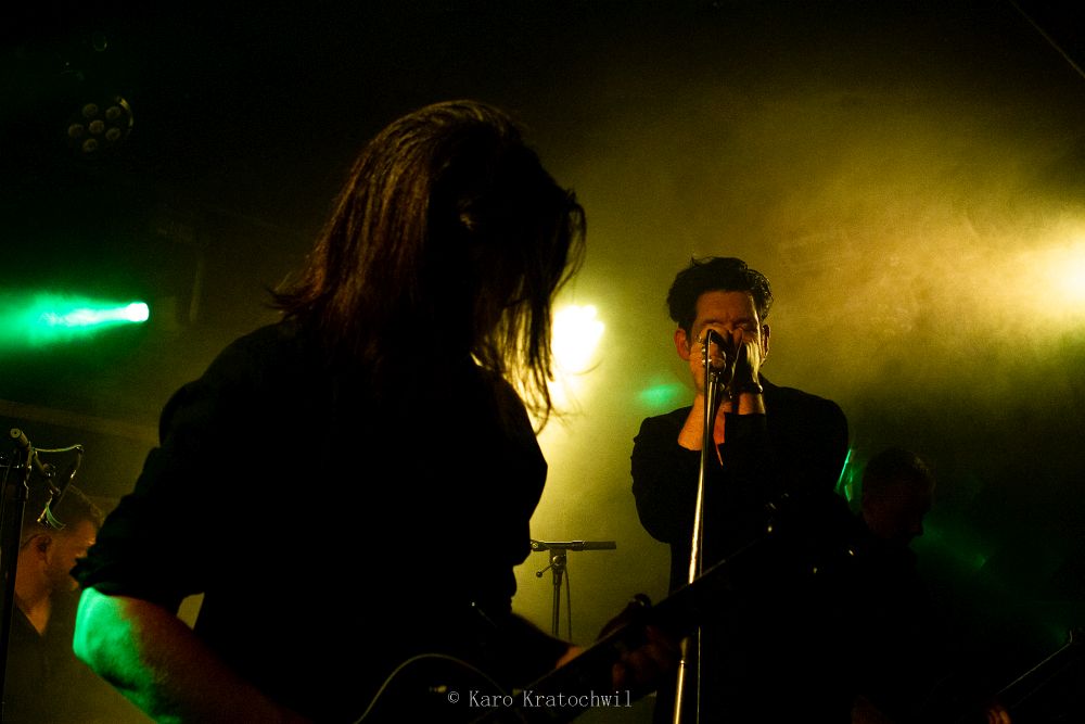 goldenapes by karoKratochwil01