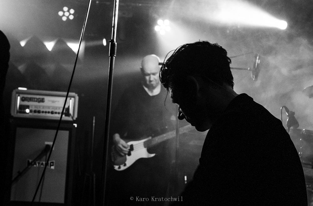 goldenapes by karoKratochwil32
