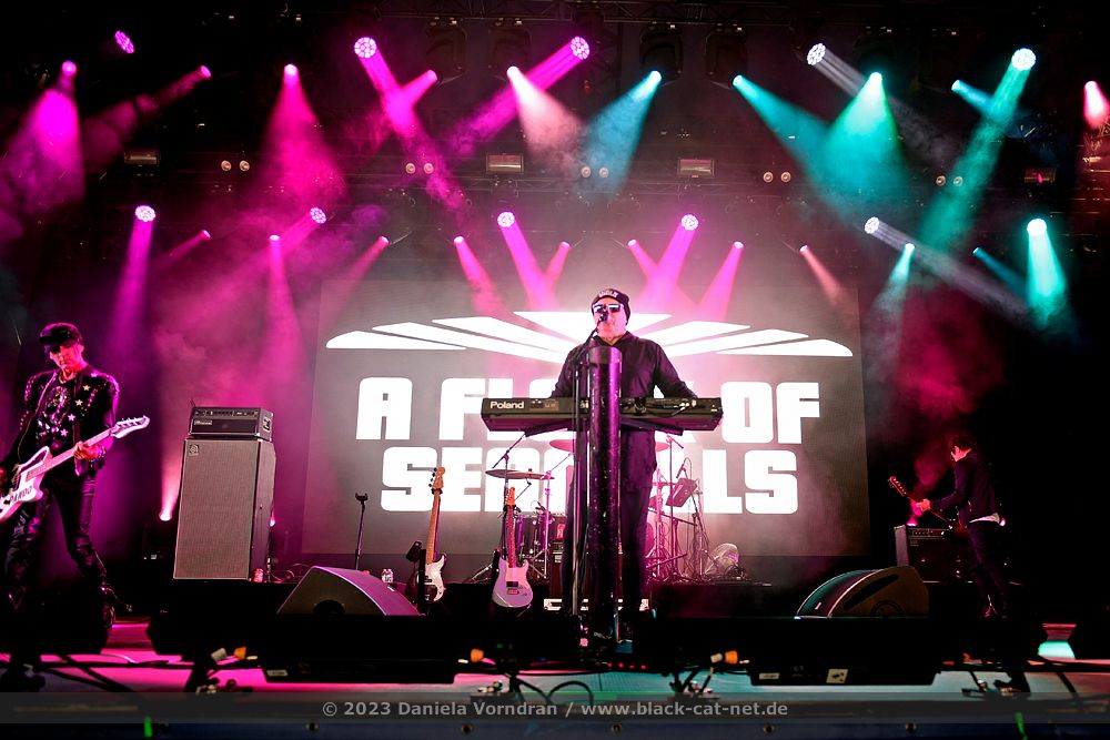 05 aflockofseagulls D4S5177 klein
