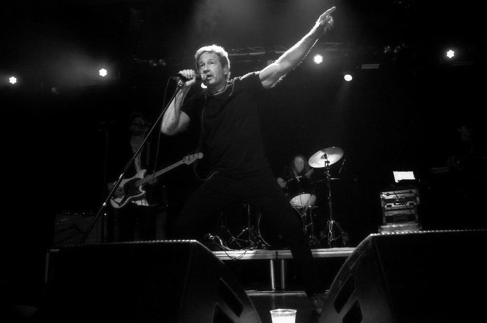 davidduchovny byIrynaKalenska01